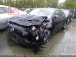 هيونداي فلوستر